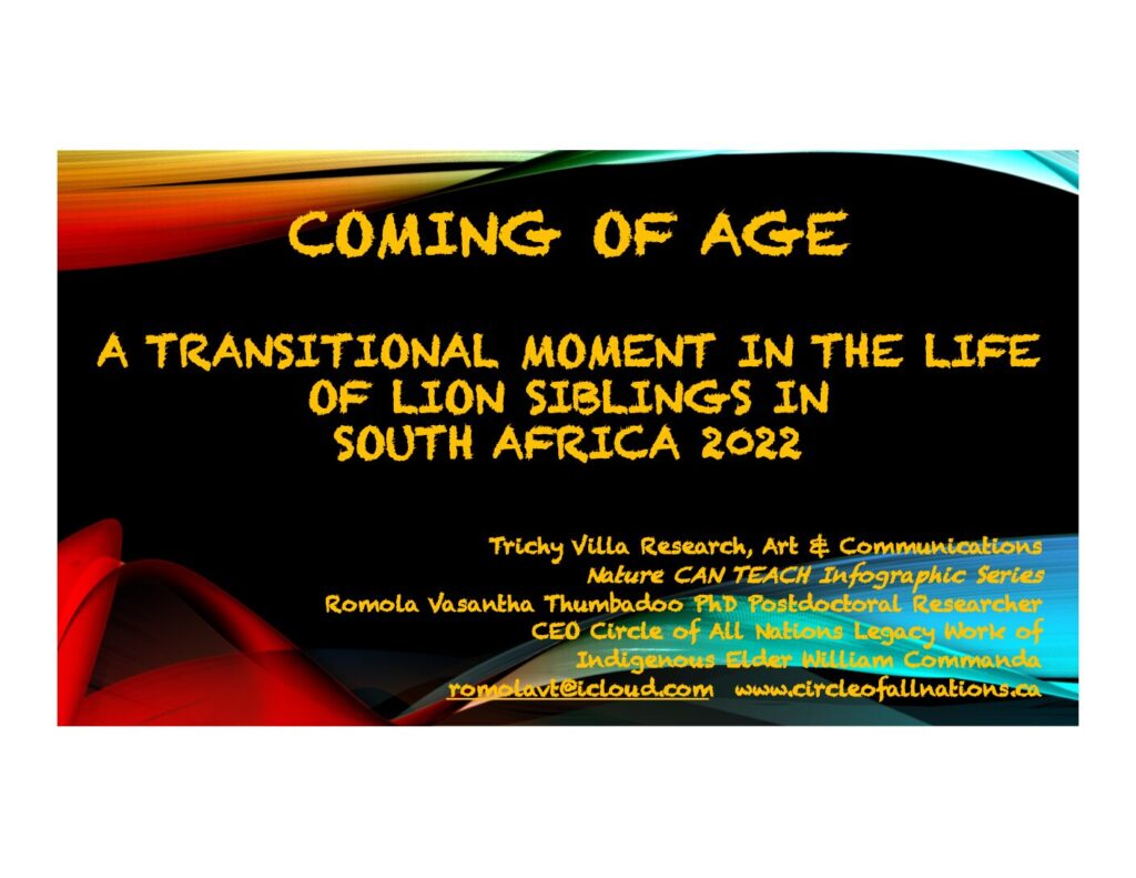 thumbnail of Infographic Lions Coming of Age TVR